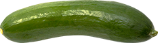 Bild einer Gurke