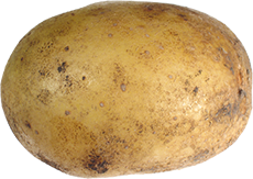 Bild einer Kartoffel