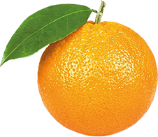 Bild einer Orange
