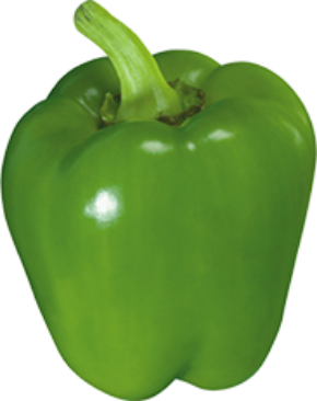 Bild einer grünen Peperoni
